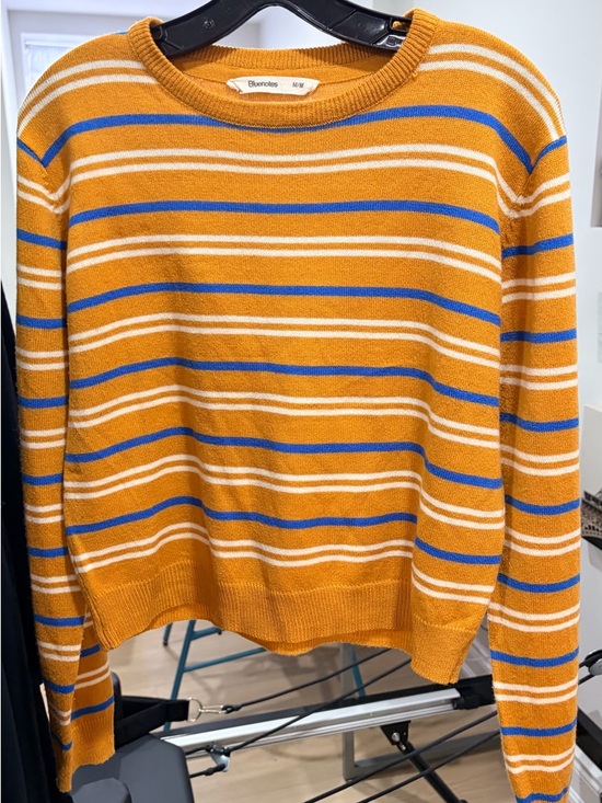 Bluenotes Sweaters - Bluenotes Mustard and Blue Striped Crewneck Sweater